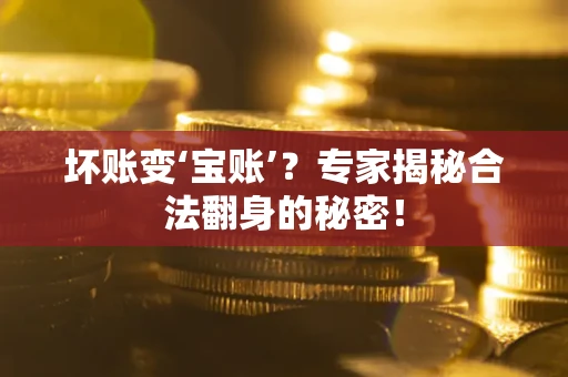 北京坏账变‘宝账’？专家揭秘合法翻身的秘密！