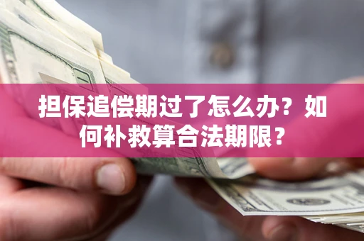 北京担保追偿期过了怎么办？如何补救算合法期限？