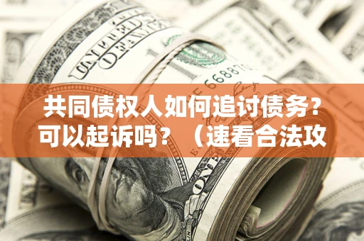 北京共同债权人如何追讨债务？可以起诉吗？（速看合法攻略）